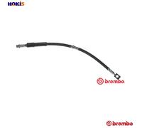 Fits BREMBO T 59 072 HAM HOSE. FRONT OPEL ⭐UK Stock⭐