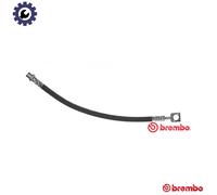 Brembo Brake Hose T 59 081 for Saab 9-3 (Convertible/X/Wagon/9-3X) & Opel Vectra/GTS 2.0L