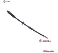 BRAKE HOSE FOR FIAT DUCATO/Panorama/Platform/Chassis/Van TALENTO/Bus PEUGEOT