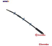 BRAKE HOSE T 61 009 BREMBO