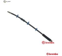 BRAKE HOSE T 61 009 BREMBO
