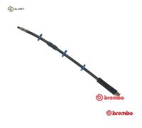 BRAKE HOSE T 61 009 BREMBO