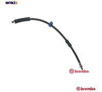 BRAKE HOSE FOR CITROËN JUMPER/Bus/Van/Platform/Chassis RELAY FIAT DUCATO 1.9L
