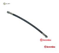 BREMBO Brake Hose T 61 037 280 F10X1 CITROËN: Xsara Picasso, Berlingo / Berlingo First I Van, PEUGEOT: Partner II Van