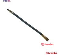 Brembo Brake Hose T 68 018 - Renault 21, Savanna, Clio (Lutecia), Twingo, F2N712/710/750/752 1.7L