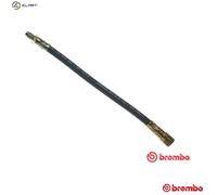Brembo Brake Hose T 68 018 - Renault 21, Savanna, Clio (Lutecia), Twingo, F2N712/710/750/752 1.7L
