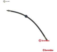 BRAKE HOSE FOR RENAULT MEGANE/I/Coach/Coupé/Classic/Scenic/Cabriolet/Grandtour