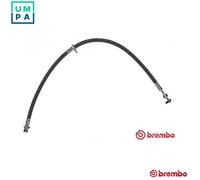 Brembo Brake Hose T83099 - Front Left, Fits Toyota Avensis Camry Carina E Corolla