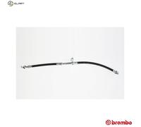 BREMBO T 83 164 Brake hose