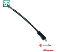 Brembo Flexible Brake Hose T 85 039 295 F10x1 - Audi A6 C4 Saloon, A6 C5 Avant