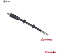 BRAKE HOSE T 85 052 FOR AUDI 100 V8 5000 A6/S6 ACE/AAD/ABK/AAE 2.0L 4cyl 100 100