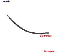 BRAKE HOSE T 85 089 FOR SKODA FELICIA/Pickup/II/Mk VW CADDY 781.136B 1.3L 4cyl