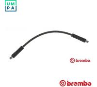 BRAKE HOSE FOR VW TRANSPORTER/III/Bus/CARAVELLE/T3/Platform/Chassis/Van LT 1.6L