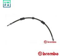 BRAKE HOSE T 85 126 FOR VW TRANSPORTER/T6/CARAVELLE/Bus/Van/Platform/Chassis