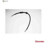 BREMBO T 85 197 Brake hose