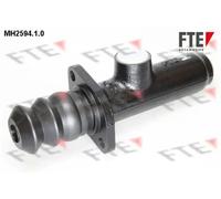 Brake master cylinder Grey Cast Iron Mineral Oil 9722133 FTE