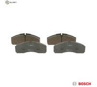 Brake pads 0 986 494 273 BOSCH for RENAULT TRUCKS MASCOTT Platform/Chassis