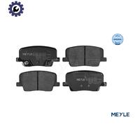 110,7/ 16,2/ 53/ REAR / WITH ACOUSTIC WEAR WARNING/ ANTI-SQUEAK PLATE BRAKE P