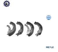 BRAKE SHOE SET 16-14 533 0001 FOR RENAULT K9K710/702 1.5L 4cyl KANGOO Express