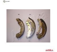 BRAKE SHOE SET 55-00-013 FOR RENAULT K9K774/764 1.5L 4cyl CLIO III