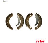 TRW Automotive AfterMarket GS8729 Brake Shoe