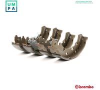 BREMBO Brake Shoes S 23 515 254 57 with handbrake lever FIAT: Ducato II Platform/Chassis