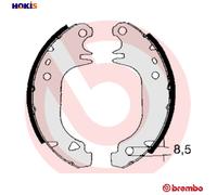 Brembo Brake Shoe Set S 61 535 – for Peugeot 205, 106, 309 & Citroën