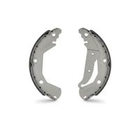LPR 01163 Brake Shoe Set