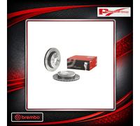 Brembo Rear Brake Discs 10480025A 09.A198.11 - Vented 316mm Pair (2 pcs)
