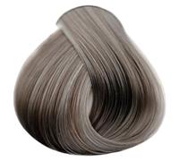 Braliz Professional 10 minute Express Permanent Hair Colour Dye (8.11 Intense Light Ash Blonde)