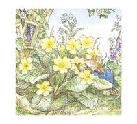Brambly Hedge - Acorn Ambush Blank Greeting Card with Envelope
