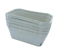Bramley & Sage 500g Biodegradable Fibre Fruit Punnets (Various Quantities) (25)