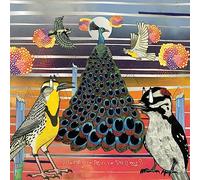 Branch, Jaimie - Fly Or die Fly Or die Fly Or die ((World War)) [VINYL]