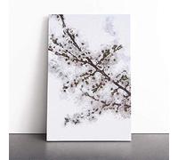 Branch of a White Cherry Blossom Tree | Canvas Wall Art Print | Framed & Ready to Hang Picture | Modern Home Decor for Living Room, Bedroom, Kitchen or Office | 30x20 Inches