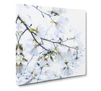 Branch of a White Magnolia Tree Canvas Print | Gallery Wrapped 30mm Frame Wall Art | 14x14 inches | Ready to Hang | Abstract Floral Picture | Living Room Bedroom Lounge Office