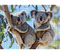 Branches Koala Puzzle - 5000 Piece Jigsaw Puzzles for Adults - The Back Features Printed Letter Guides - The Pieces fit Together Snugly - Wooden Puzzles for Adults - Gifts Man 61.6 X 41.5 Inch s7h-993
