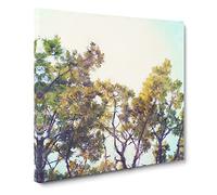 Branches of an Oak Tree Canvas Print | Gallery Wrapped 30mm Frame Wall Art | 14x14 inches | Ready to Hang | Modern Landscape Picture | Living Room Bedroom Lounge Office