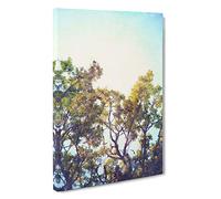 Branches of an Oak Tree Canvas Print | Gallery Wrapped 30mm Frame Wall Art | 30x20 inches | Ready to Hang | Modern Landscape Picture | Living Room Bedroom Lounge Office
