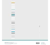 Branciforte, Joseph / Bleckmann, Theo - LP2 [Vinyl LP] [VINYL]