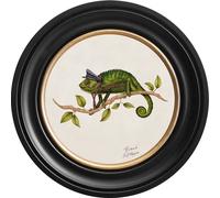 Brand McKenzie Art Cleo 44cm Ebony Frame FR44/CLEO/EBCW