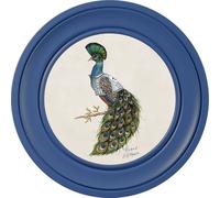 Brand McKenzie Art Prince 44cm Cobalt Frame FR44/PRINCE/COCW