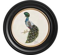 Brand McKenzie Art Prince 44cm Ebony Frame FR44/PRINCE/EBCW
