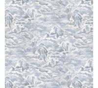 Brand McKenzie Wallpaper Hidden Clouds BMWL005/05B