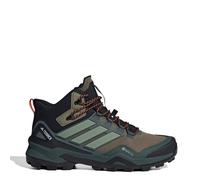 Adidas Terrex Skychaser Mid Goretex Hiking Shoes