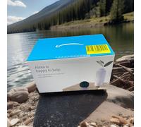 Amazon Echo Dot 5th Generation Smart Speaker With Alexa Charcoal