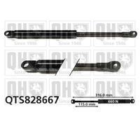 Brand New Convertible Top Gas Spring for VW GOLF 79-93 QTS828667