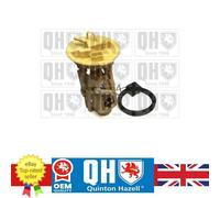 Brand New Fuel Pump for BMW 3 98-05 16141184279 QFP746