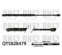 Brand New Tailgate/Boot Gas Strut39077222 QTS828479