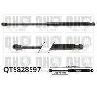 Brand New Tailgate/Boot Gas StrutFor Audi A4 15-19 QTS828597