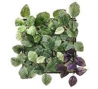 Branded FEJKA Artificial Wall Mounted Plant, in/Outdoor Green/Lilac 26x26cm